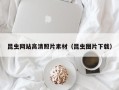 沙河昆虫网站高清照片素材（昆虫图片下载）