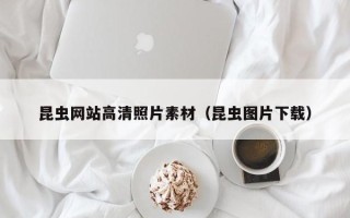 沙河昆虫网站高清照片素材（昆虫图片下载）